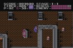 Ninja Gaiden (NES) (Wii)