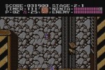 Ninja Gaiden (NES) (Wii)