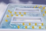 Super Rub a Dub (PlayStation 3)