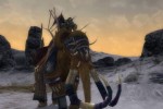 The Lord of the Rings Online: Shadows of Angmar (PC)