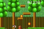 Alex Kidd in the Enchanted Castle (Wii)