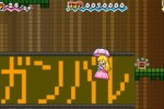 Super Paper Mario (Wii)