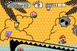 Super Paper Mario (Wii)