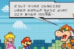 Super Paper Mario (Wii)