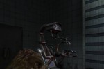 DUSK-12 (PC)