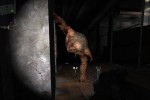 S.T.A.L.K.E.R.: Shadow of Chernobyl (PC)