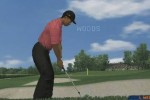 Tiger Woods PGA Tour 07 (Wii)