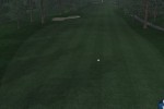 Tiger Woods PGA Tour 07 (Wii)