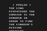 Double Dungeons (Wii)