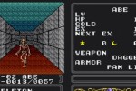 Double Dungeons (Wii)