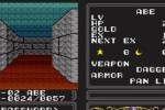Double Dungeons (Wii)