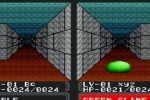 Double Dungeons (Wii)