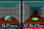 Double Dungeons (Wii)