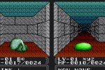 Double Dungeons (Wii)