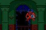 Super Ghouls 'N Ghosts (Wii)