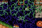 Super Ghouls 'N Ghosts (Wii)