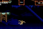 Super Ghouls 'N Ghosts (Wii)