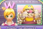 Wario: Master of Disguise (DS)