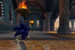 Sonic and the Secret Rings (Wii)