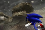 Sonic and the Secret Rings (Wii)