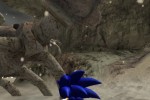 Sonic and the Secret Rings (Wii)