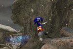 Sonic and the Secret Rings (Wii)