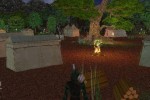 Robin Hood's Quest (PlayStation 2)