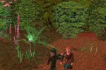 Robin Hood's Quest (PlayStation 2)
