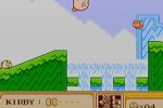 Kirby's Adventure (Wii)
