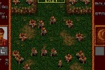 Gain Ground (Wii)