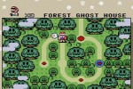 Super Mario World (Wii)