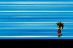 Inuyasha: Secret of the Divine Jewel (DS)
