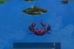Pirates CSG Online (PC)