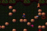 Dungeon Explorer (Wii)
