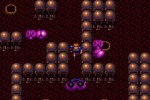 Dungeon Explorer (Wii)