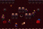 Dungeon Explorer (Wii)