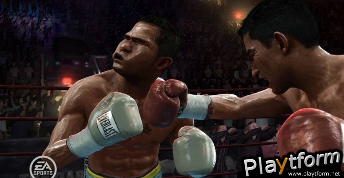 Fight Night Round 3 (PlayStation 3)