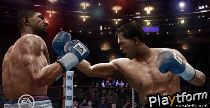 Fight Night Round 3 (PlayStation 3)