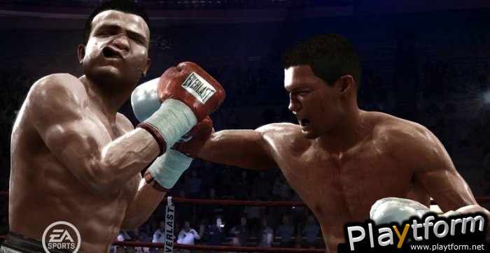 Fight Night Round 3 (PlayStation 3)
