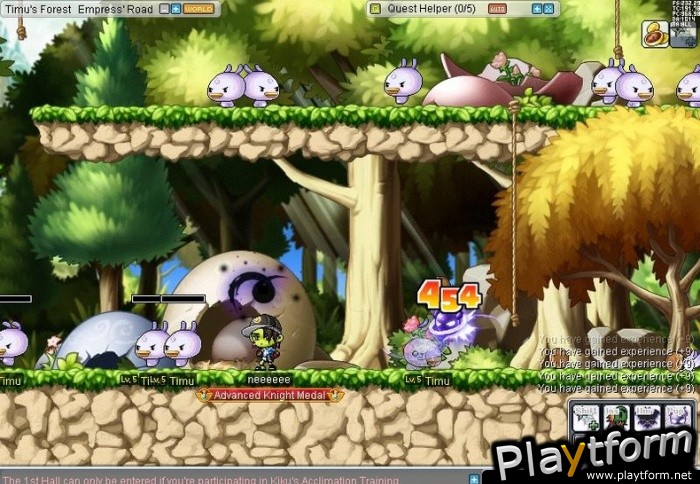 MapleStory (PC)