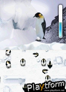 March of the Penguins (DS)