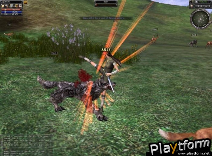 Last Chaos (PC)