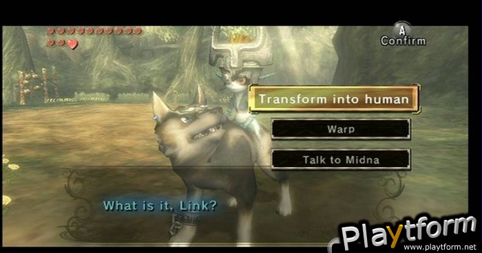 The Legend of Zelda: Twilight Princess (Wii)