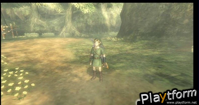 The Legend of Zelda: Twilight Princess (Wii)