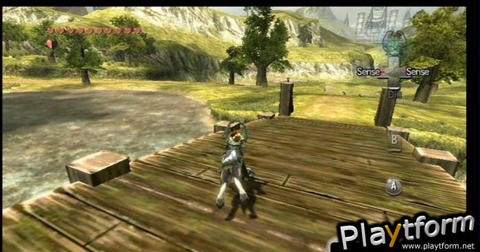 The Legend of Zelda: Twilight Princess (Wii)