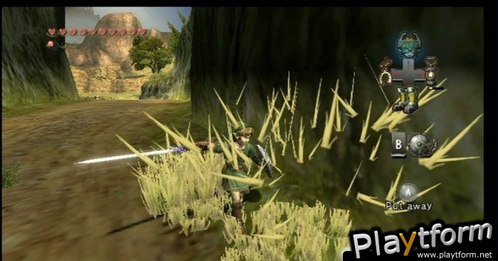 The Legend of Zelda: Twilight Princess (Wii)