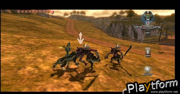 The Legend of Zelda: Twilight Princess (Wii)