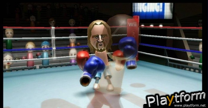 Wii Sports (Wii)