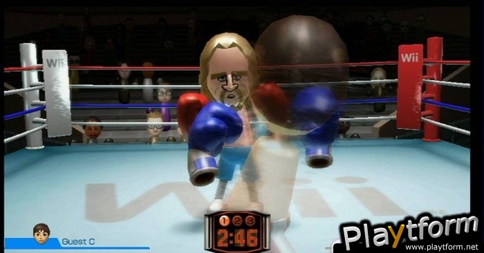 Wii Sports (Wii)