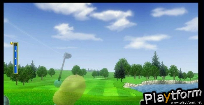 Wii Sports (Wii)